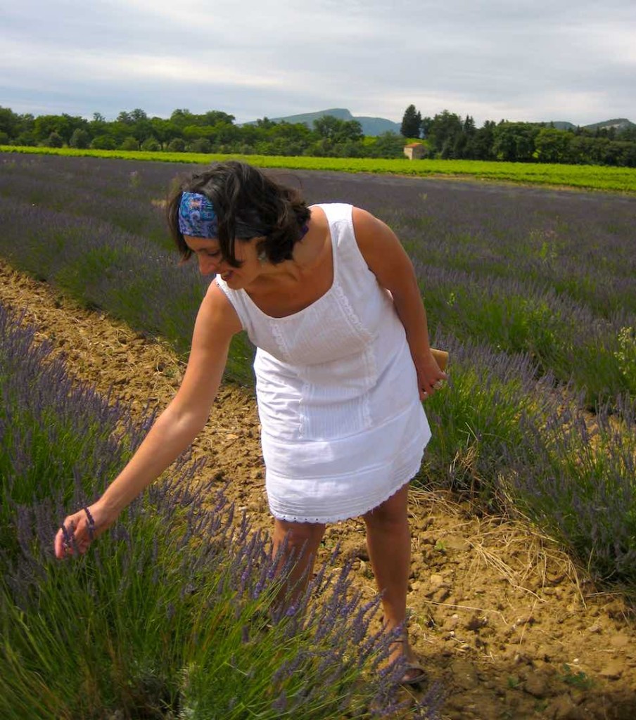 Floraci N De La Lavanda Fechas La Provenza Y Costa Azul De Francia